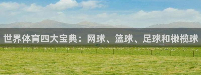 MK体育官方正版app代理:世界体育四大宝典:网球、篮球、足