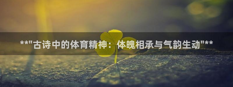 MK体育官方正版app集团官网网址:**\