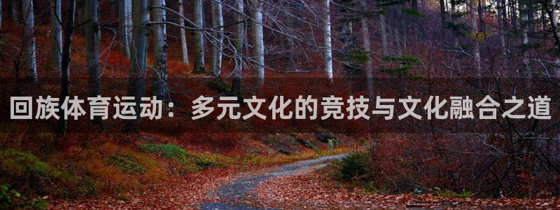 MK体育官方正版app集团简介:回族体育运动:多元文化的竞技