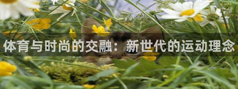 MK体育官方正版app娱乐:体育与时尚的交融:新世代的运动理