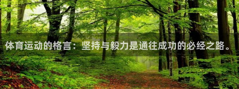 MK体育官方正版app集团简介:体育运动的格言:坚持与毅力是